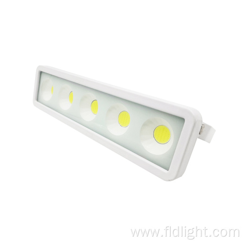 Multi-occasion application Private mold flood light